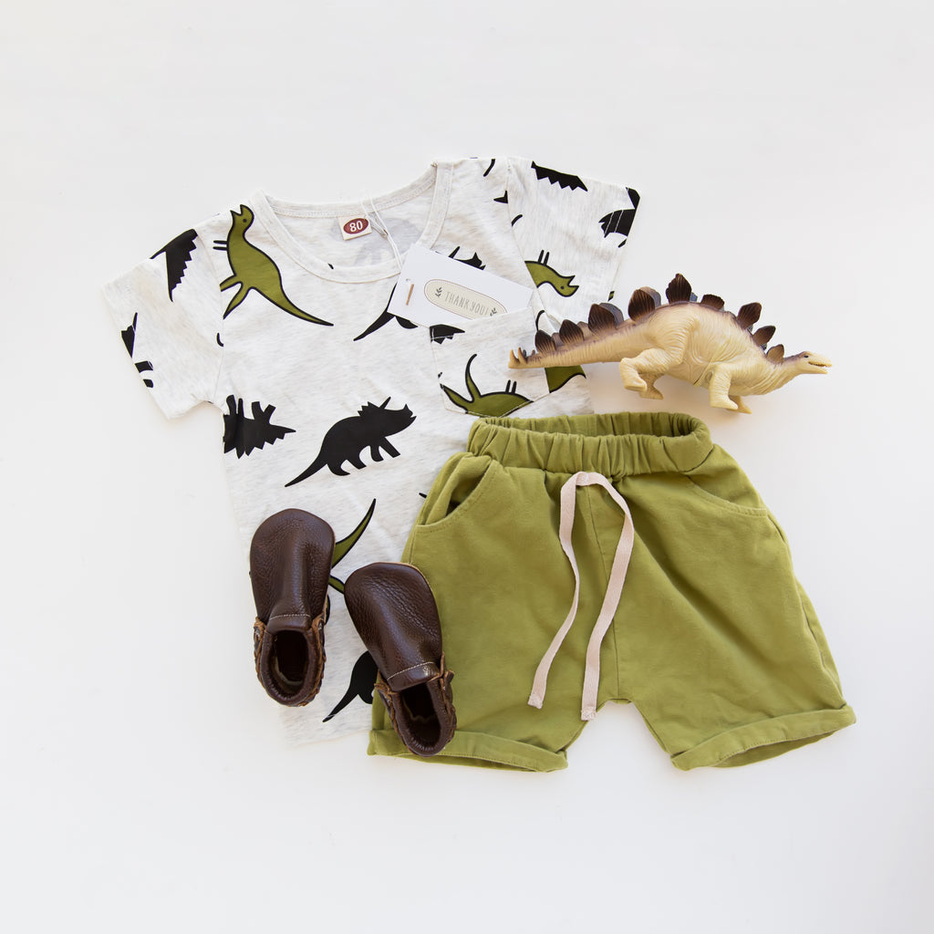 Dinosaur set
